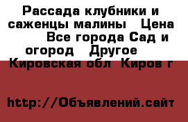 Рассада клубники и саженцы малины › Цена ­ 10 - Все города Сад и огород » Другое   . Кировская обл.,Киров г.